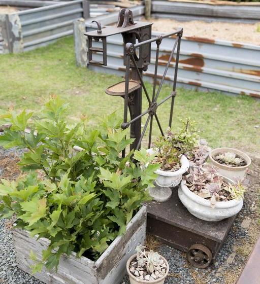 Brahman Hills   Gardens, Hotel & Cottages