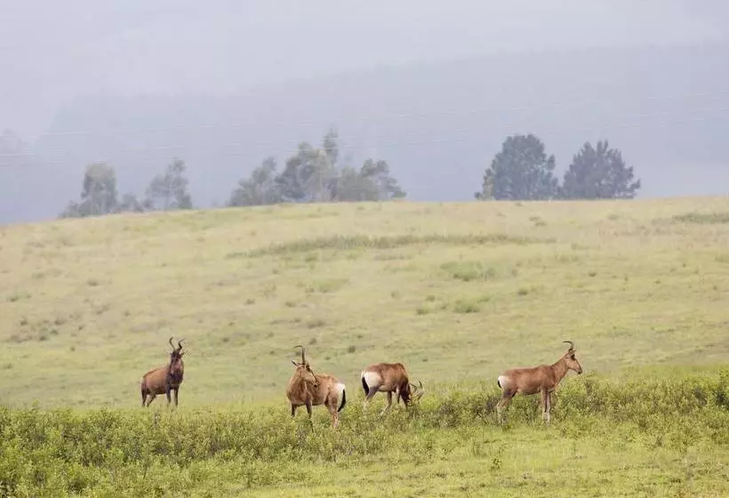 Brahman Hills   Gardens, Hotel & Cottages