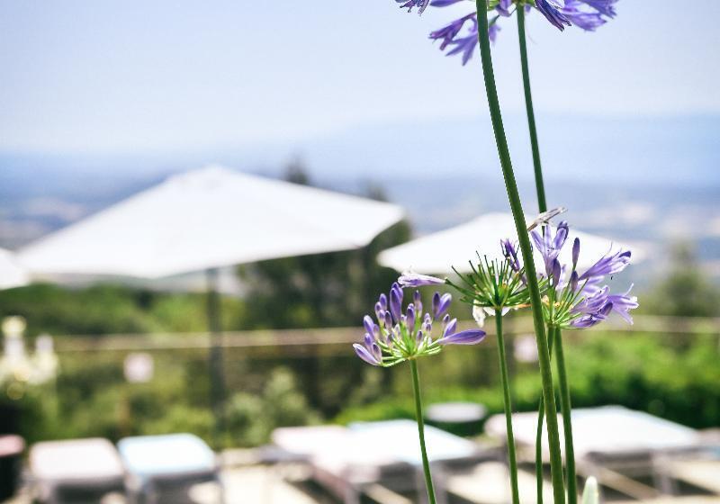 هتل Le Petit Palais D'aglae