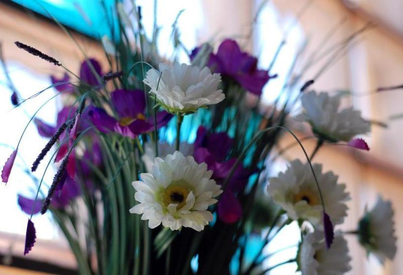 هتل Arizona Sarajevo