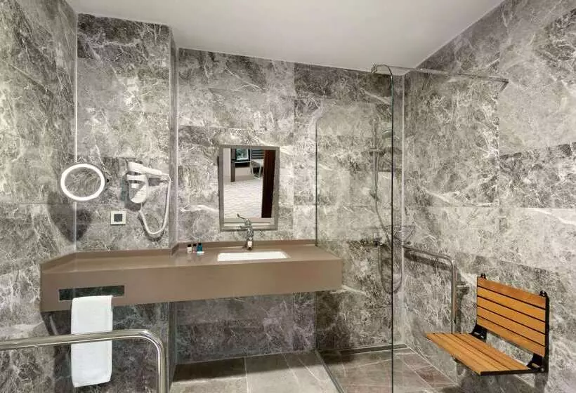 هتل Ramada By Wyndham Sakarya