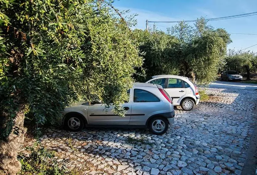 Io