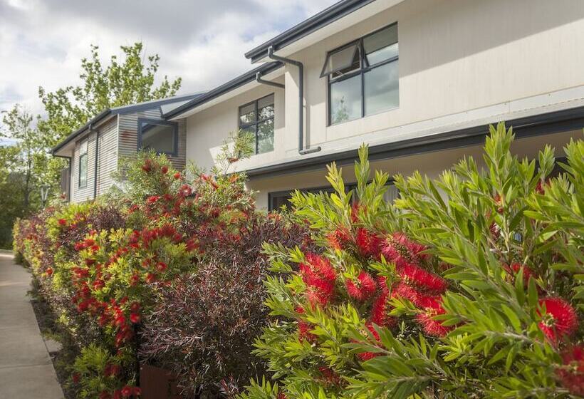 One Of A Kind Apartments