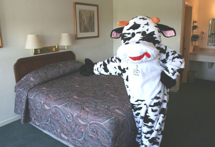 汽车旅馆 Lake Lighthouse Inn