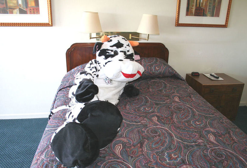 汽车旅馆 Lake Lighthouse Inn