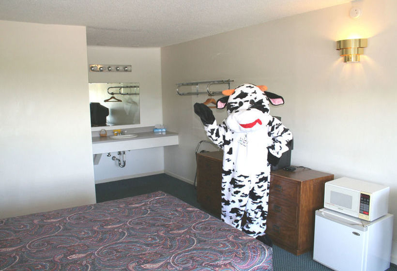 汽车旅馆 Lake Lighthouse Inn