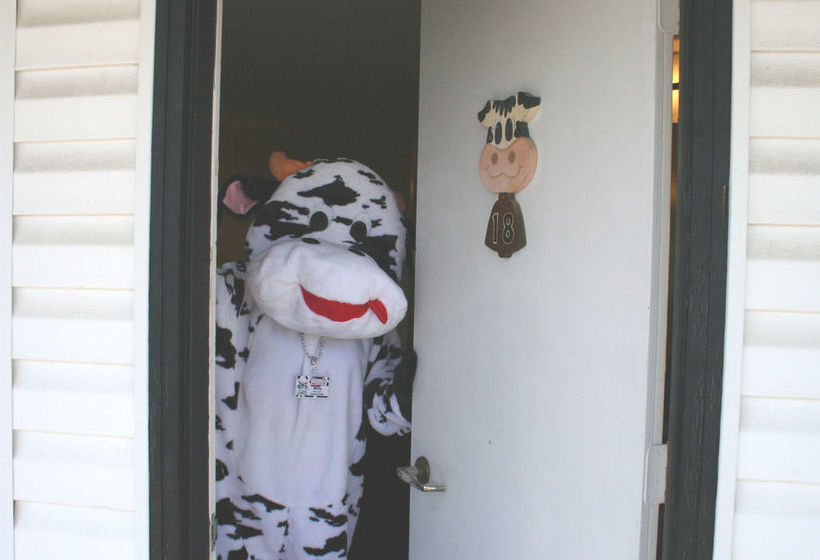 汽车旅馆 Lake Lighthouse Inn