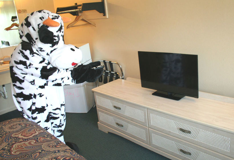 汽车旅馆 Lake Lighthouse Inn