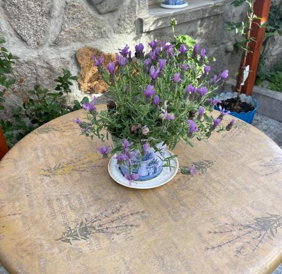 פנסיון Casa Del Mare