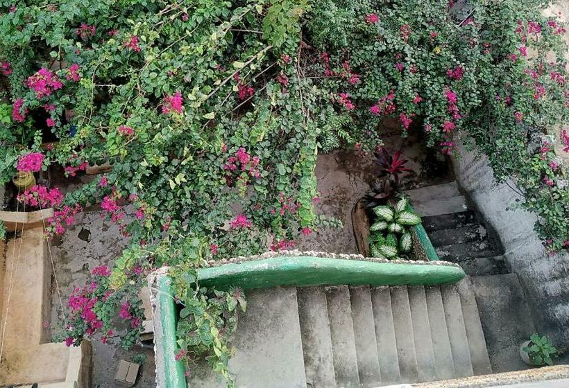 پانسیون Tabassam House