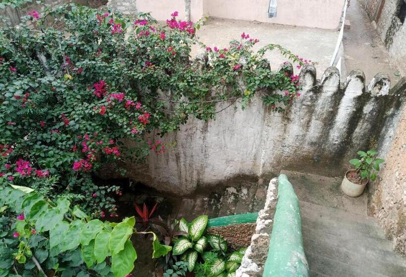 پانسیون Tabassam House