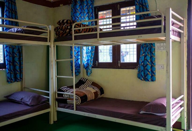 Yellow Bird Hostel & Cafe