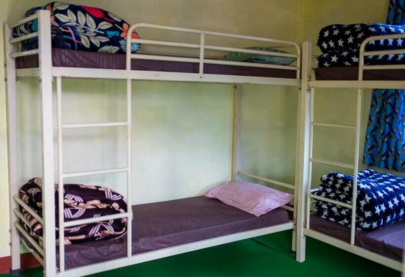 Yellow Bird Hostel & Cafe