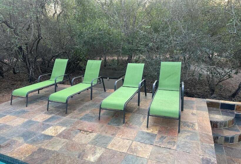 ペンション Casa Safari