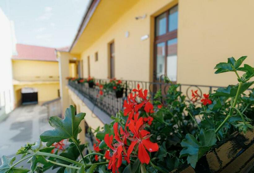 הוסטל Collegium Varadinum