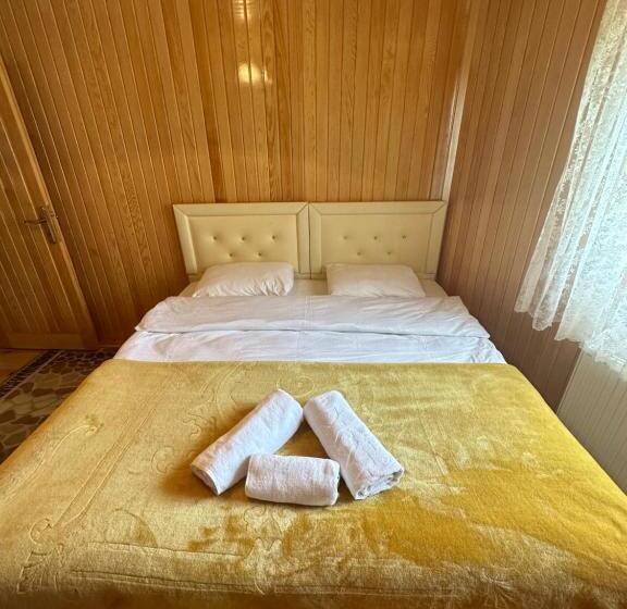 Demirkapı Brown House