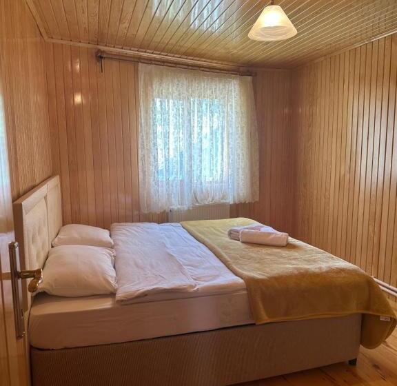 Demirkapı Brown House