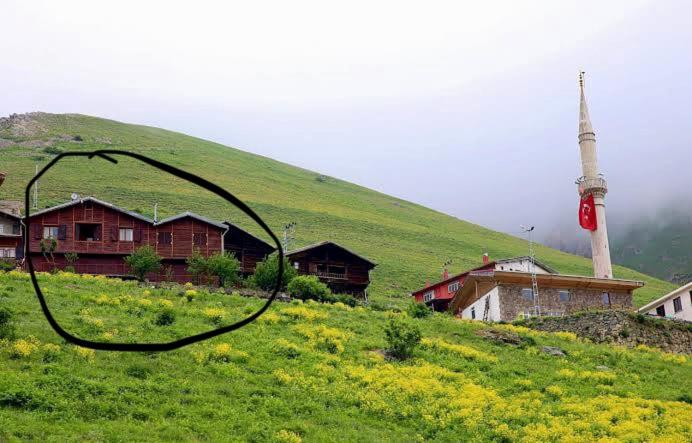 Demirkapı Brown House