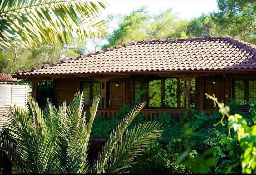 هتل Olympos Paradise