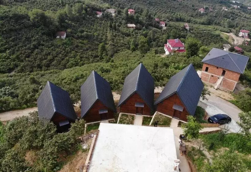 تختخواب و صبحانه Defne Bungalow Yomra