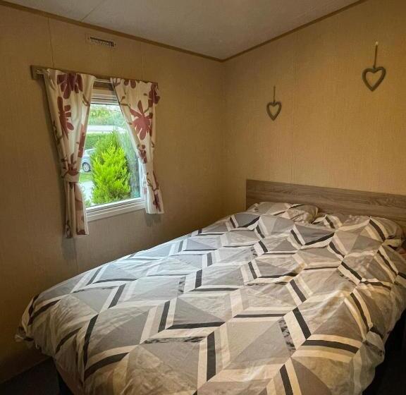 膳宿费 Orchard 12