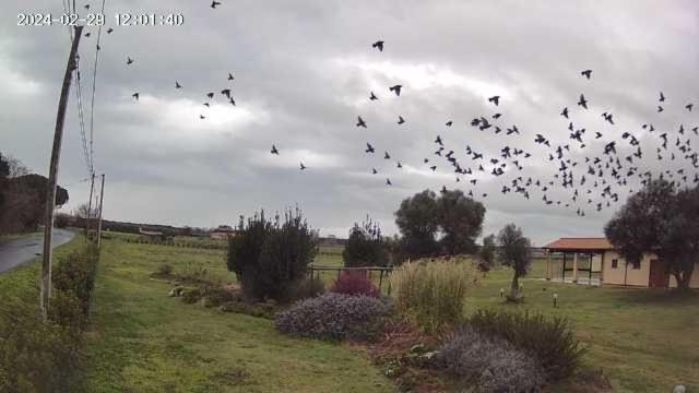 فندق Agrivillage Tieró