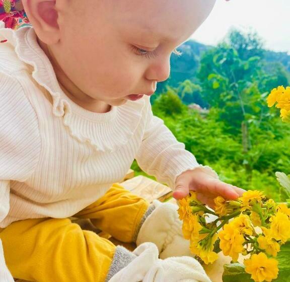 بنسيون Mira Bungalov