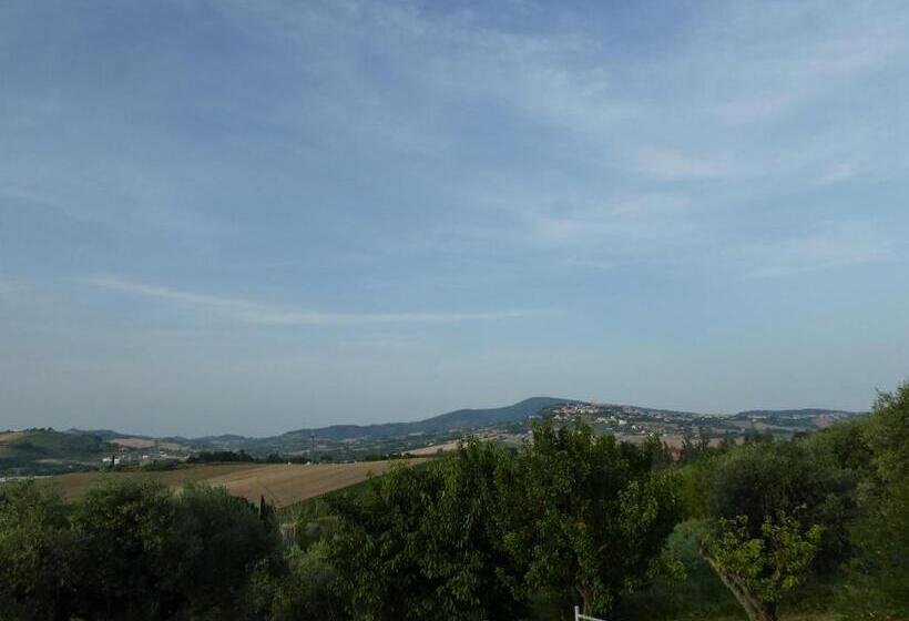 פנסיון Papaveri Del Conero Affittacamere