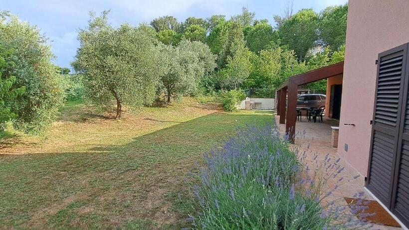 פנסיון Papaveri Del Conero Affittacamere