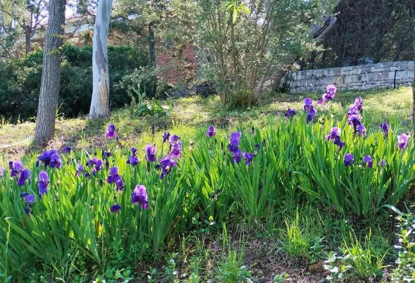 Aamiaismajoitus (B&B) Le Finestre Sul Mare