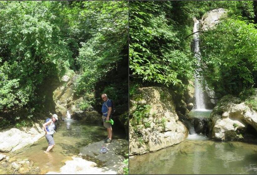 Bed and Breakfast Agriturismo Orrido Di Pino