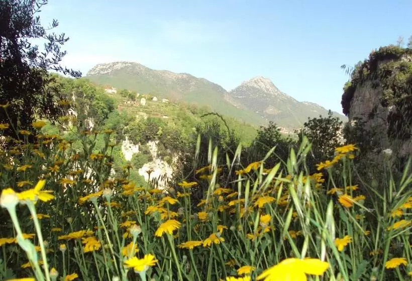ベッドアンドブレックファースト Agriturismo Orrido Di Pino