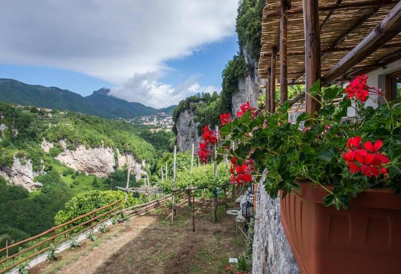 Bed and Breakfast Agriturismo Orrido Di Pino