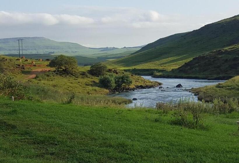 مبيت وإفطار Elgin Guest House