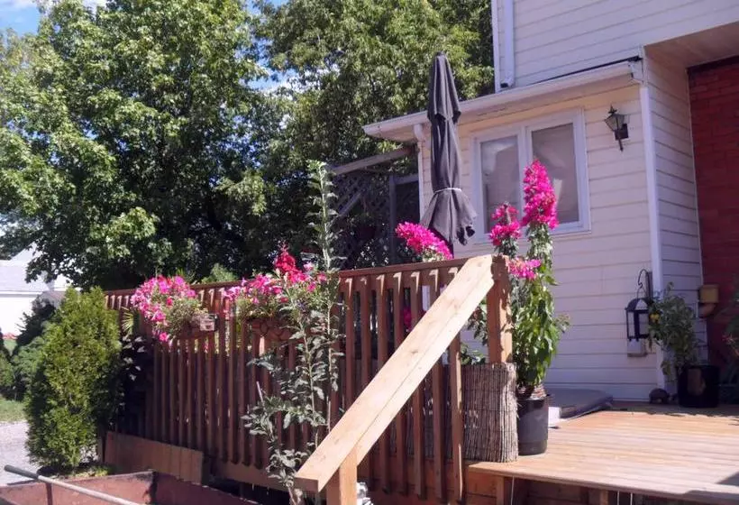 Homestead House B&b