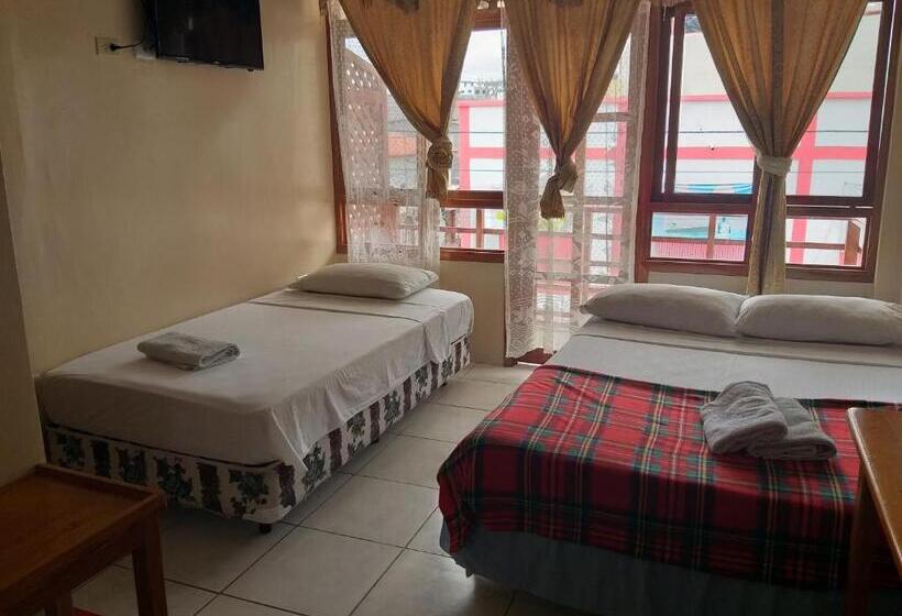 Hostal Miconia