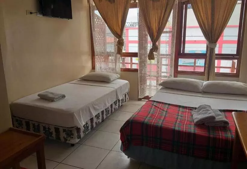 Hostal Miconia