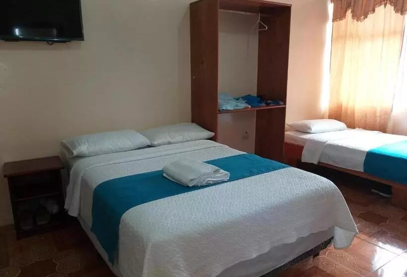 Hostal Miconia
