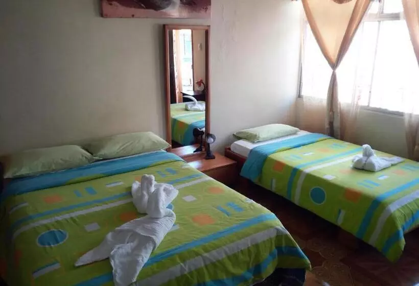 Hostal Miconia