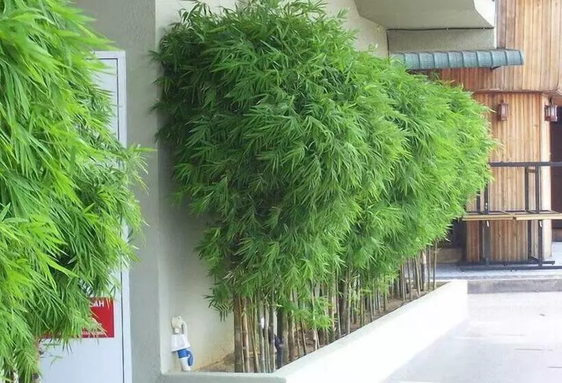 هتل Greenleaf