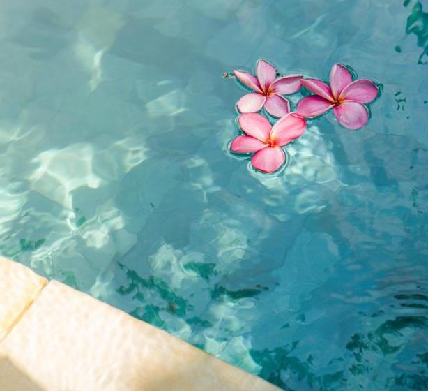 בית מלון כפרי Hola Seminyak