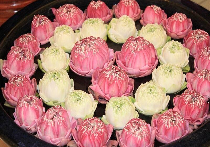 בית מלון כפרי Nawin Palace Guesthouse