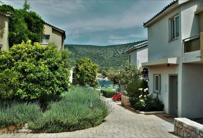 Lavender Cove
