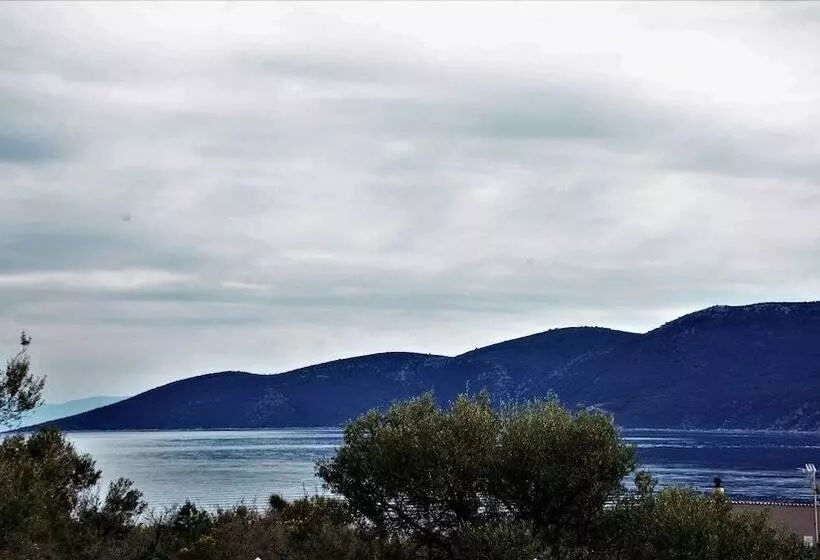 Lavender Cove