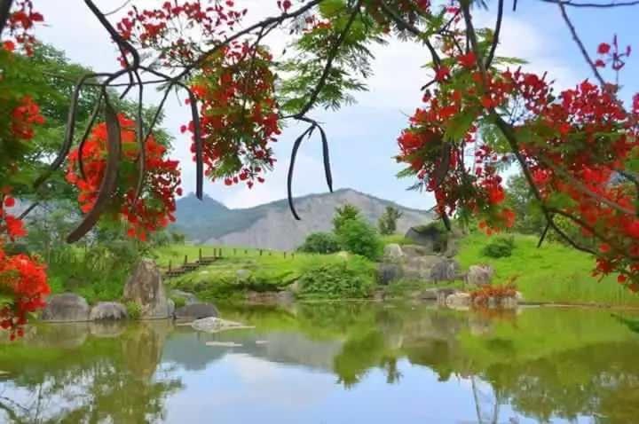 تختخواب و صبحانه Rose Garden Homestay