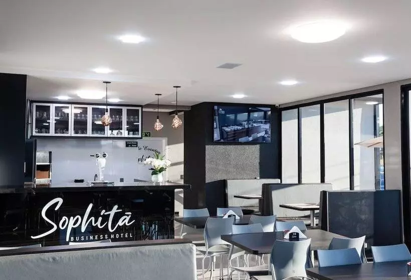Hotelli Sophita Business