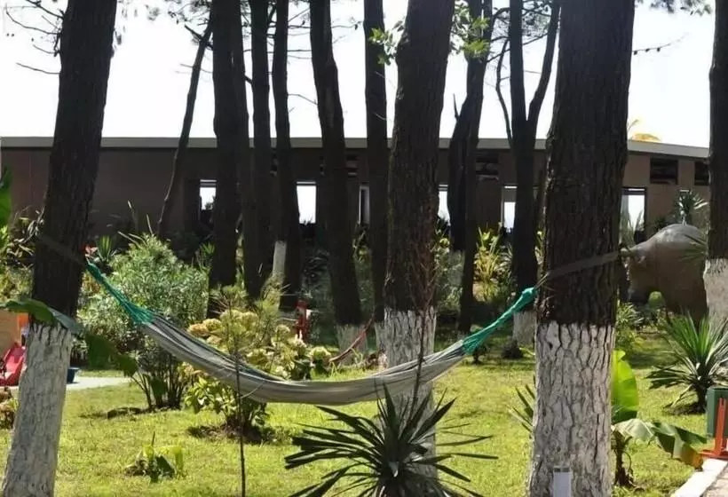 هتل Andamati Beach Resort