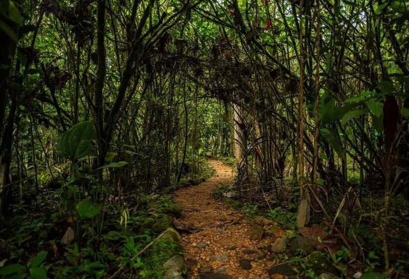 בית מלון כפרי River Song S