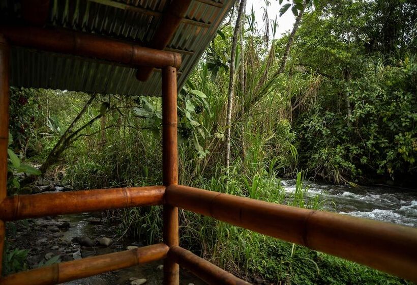 בית מלון כפרי River Song S