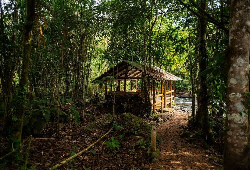 בית מלון כפרי River Song S